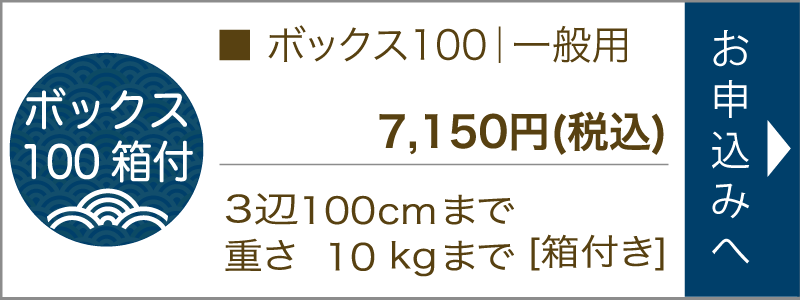 ボックス100箱付き一般